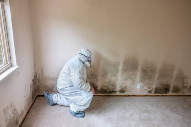 Best Mold Documentation for Insurance Claims  in Viera West, FL